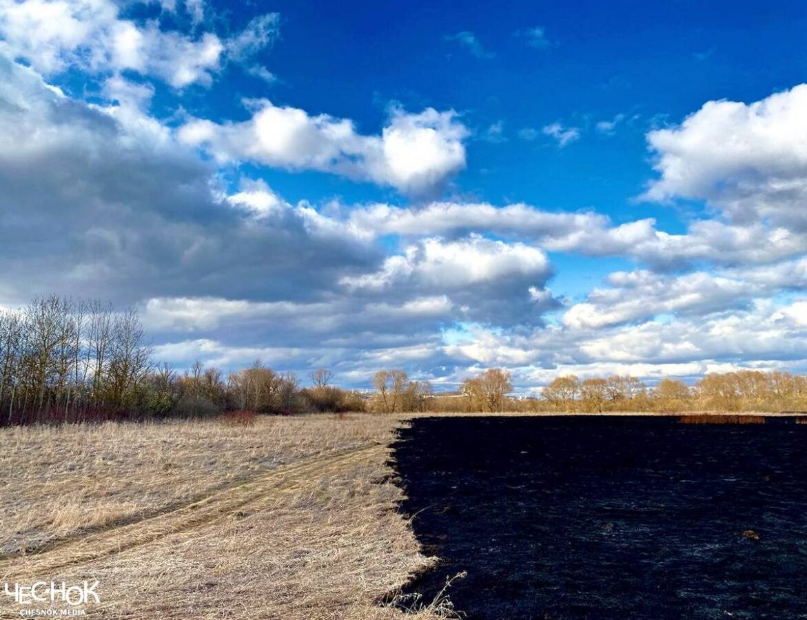 Пожар пойма Клязьмы