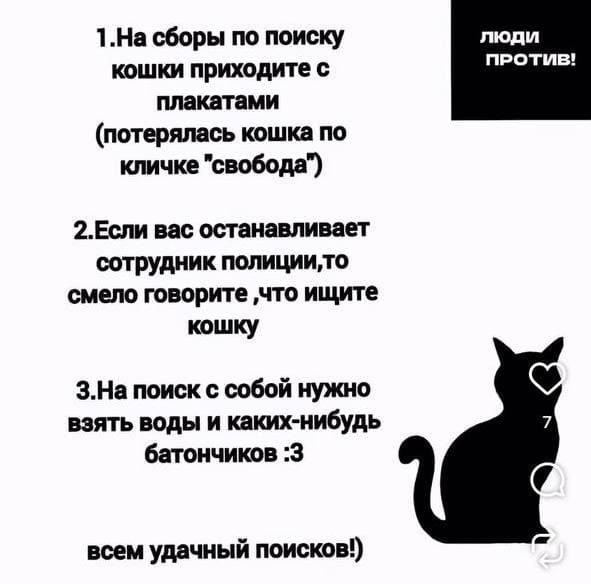Протестная акция кошка анонс 2