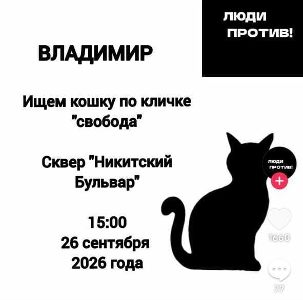 Протестная акция кошка анонс 2