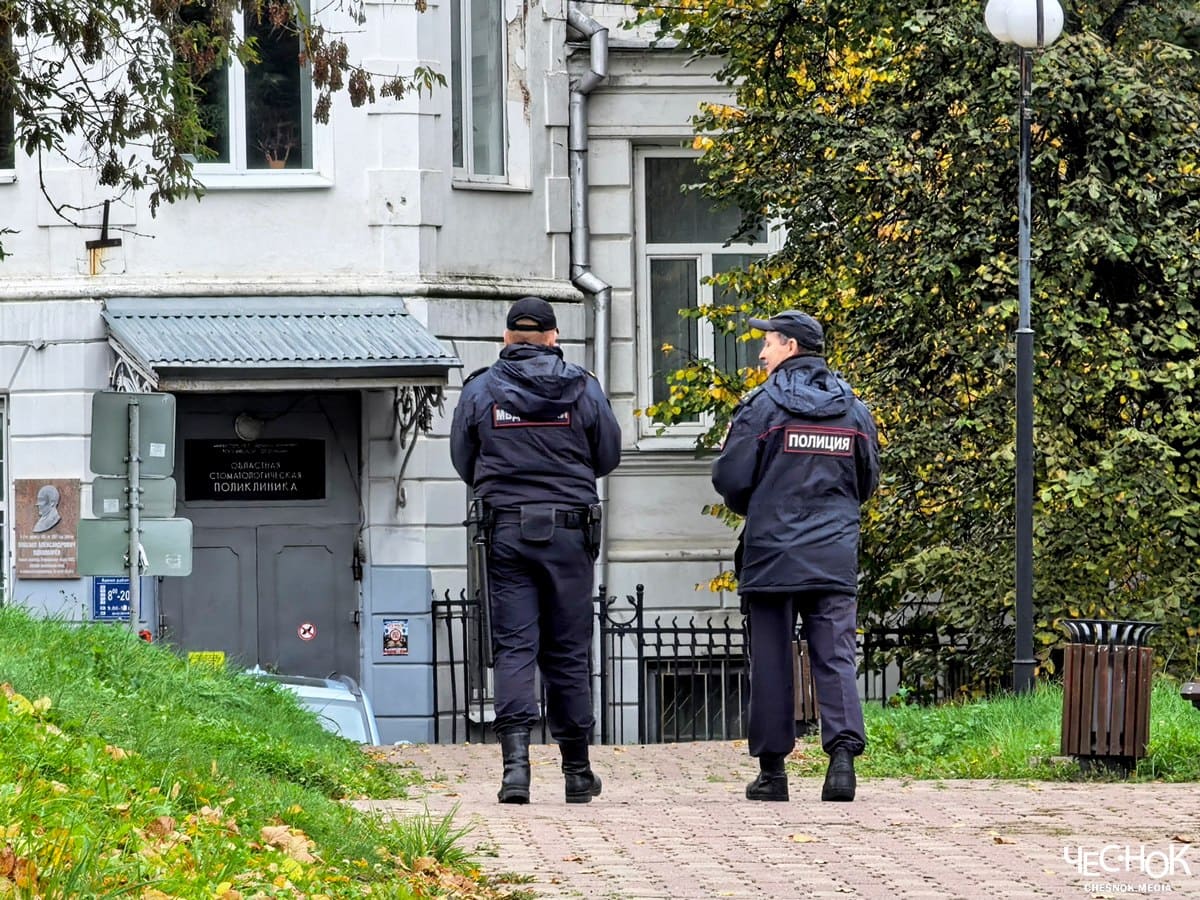 Протестная акция кошка выборы мвд полиция никитский сквер 2