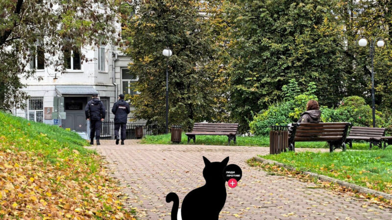 «Кошку по кличке Свобода» во Владимире искала только полиция