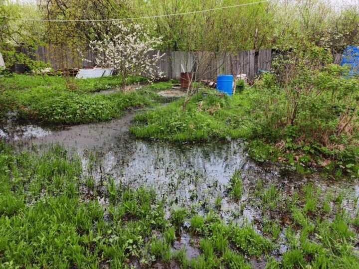 Жители Петушинского района пожаловались на мазут и запах канализации