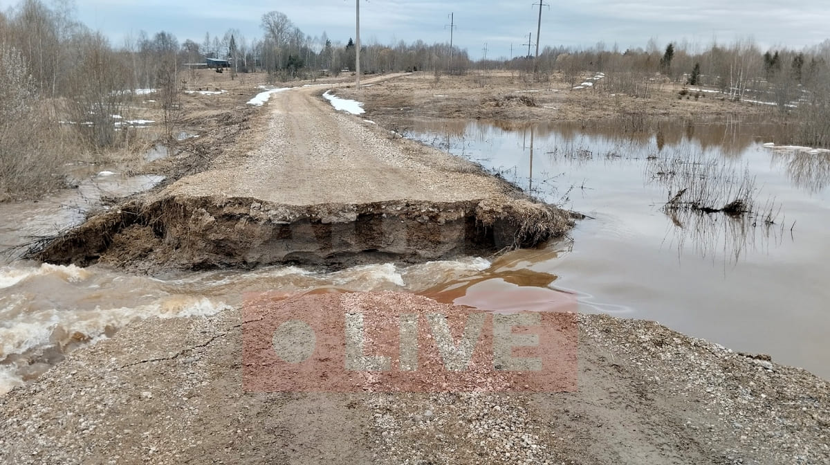 Размыло дорогу Александров
