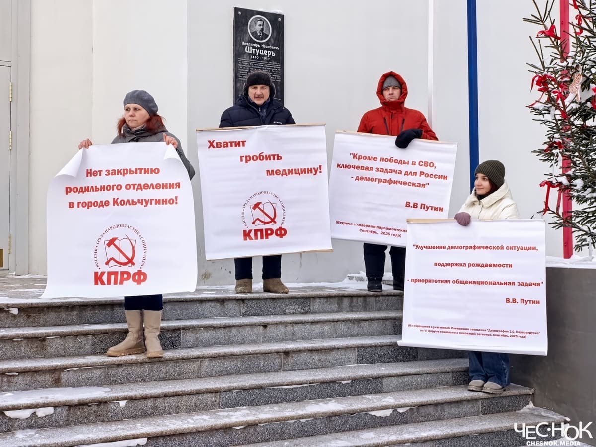 Роддом Кольчугино митинг КПРФ 2