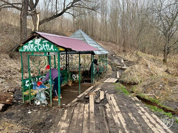 Ради вырубки парка у ДТЮ ослабят режим охраны родника