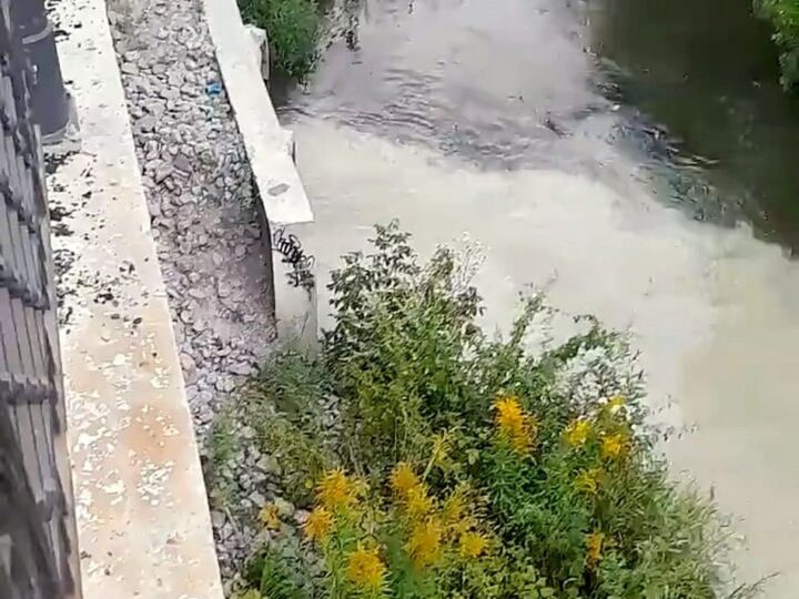 Владимирские рыбаки обнаружили очередное загрязнение Рпени