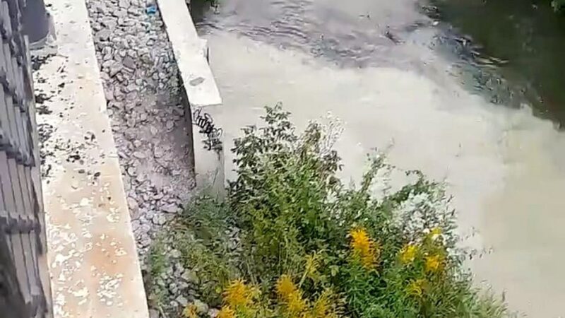 Владимирские рыбаки обнаружили очередное загрязнение Рпени