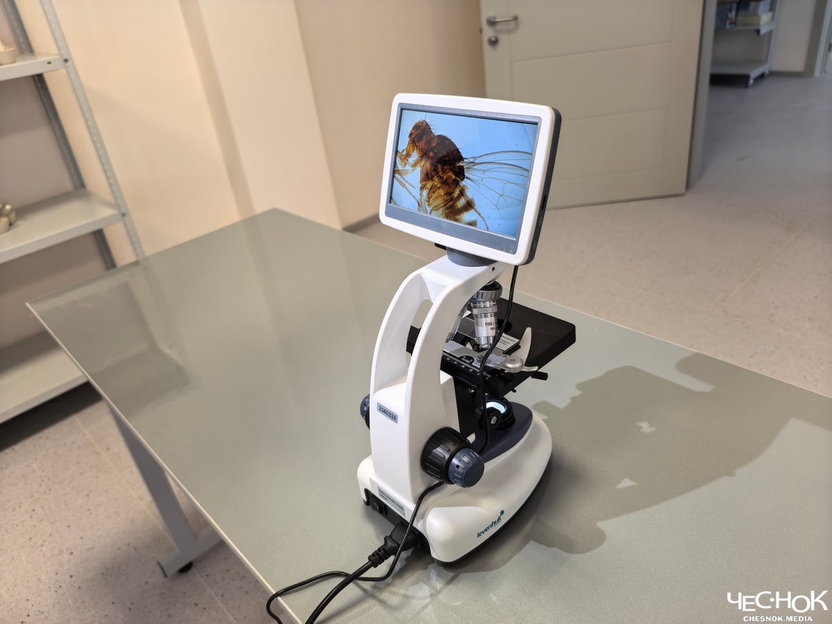 Школа Суздаль микроскоп