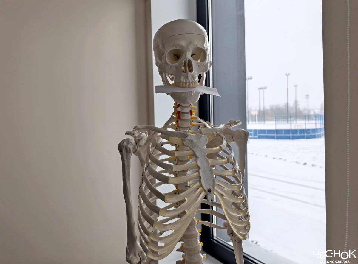 Школа Суздаль скелет