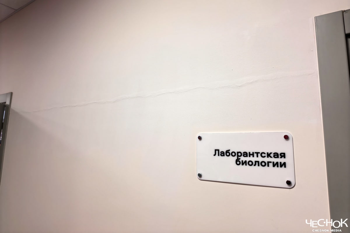 Школа Суздаль трещины 2