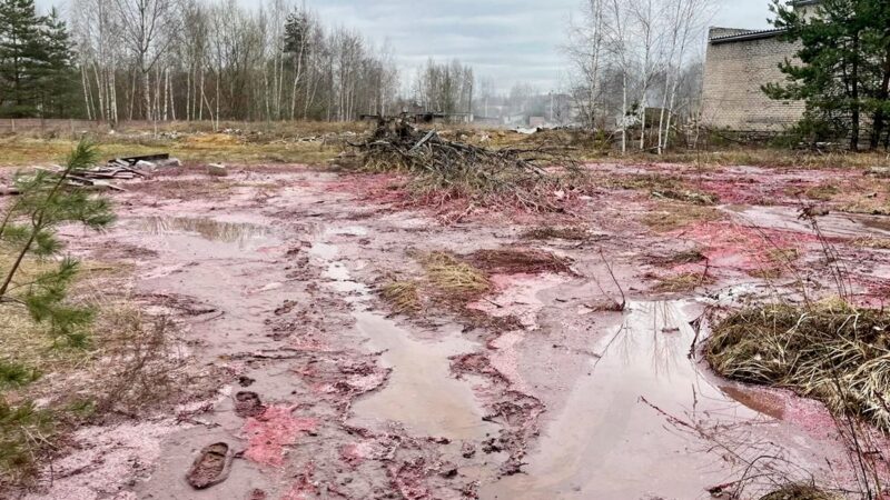 В Петушках завели уголовное дело о сливе химикатов в почву