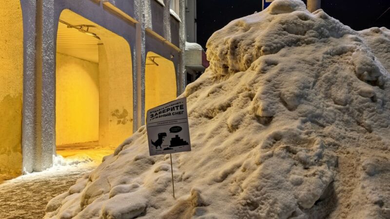 Владимирцы убирают сугробы с улиц плакатами «Отдайте интернет»