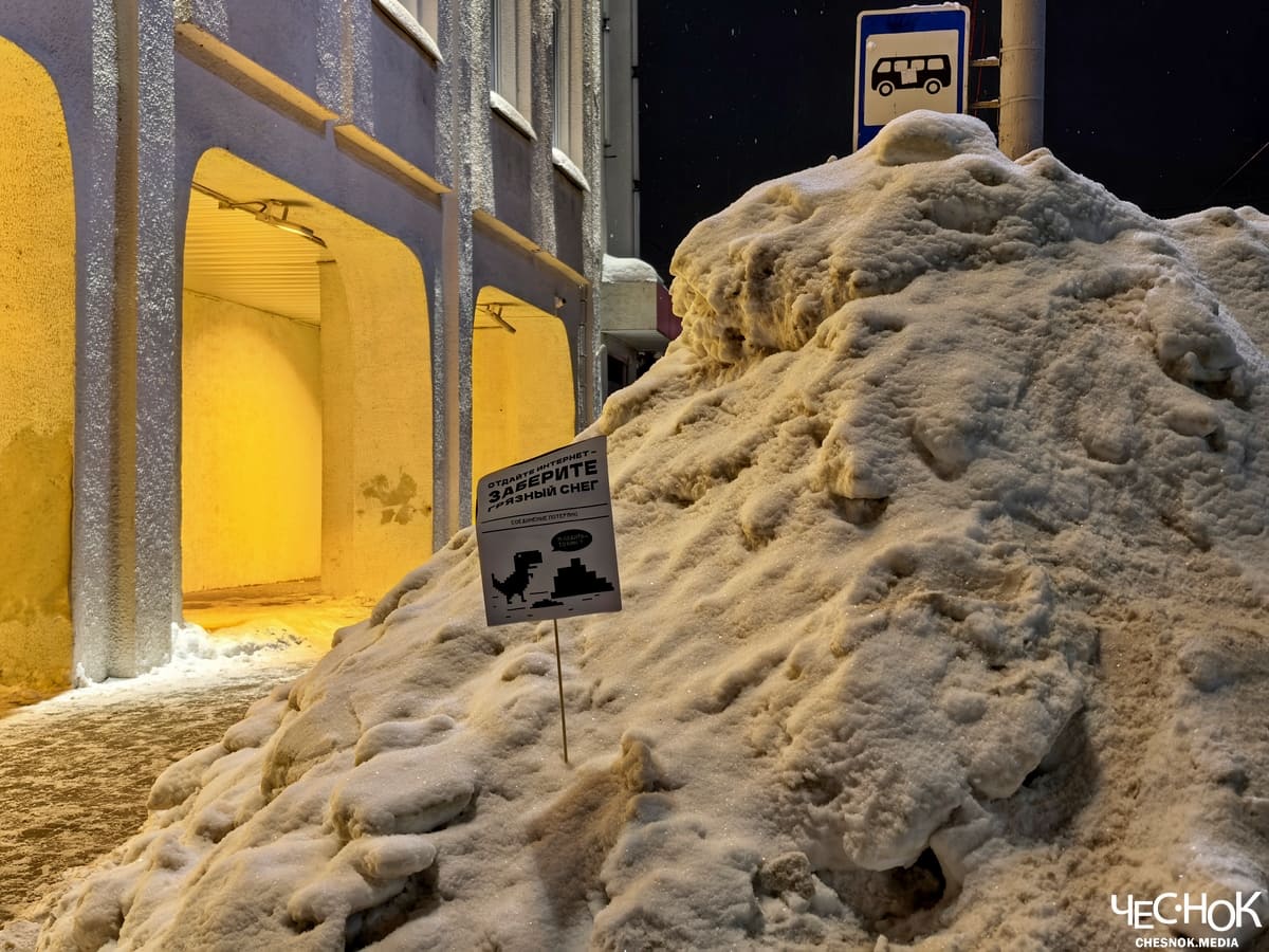 Владимирцы убирают сугробы с улиц плакатами «Отдайте интернет»