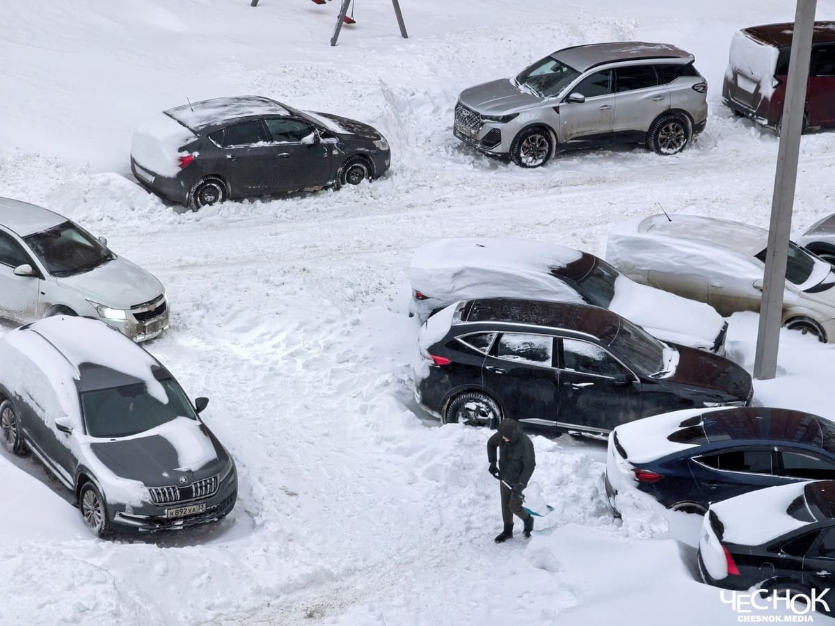 Авдеев призвал владимирцев отказаться от автомобилей на пару дней