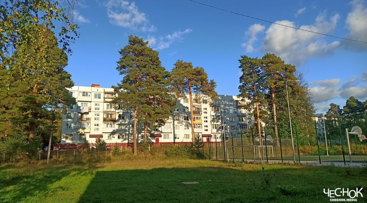 Сокол