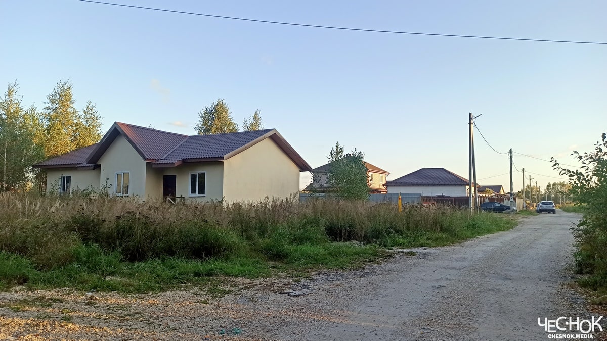 Сокол