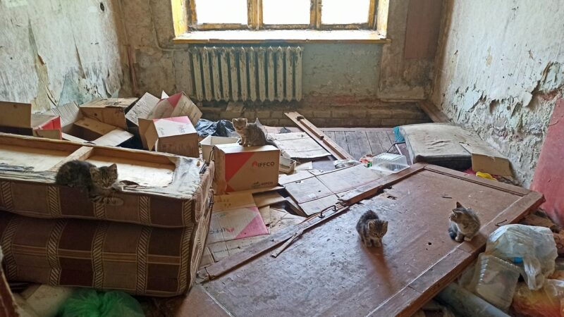 Обезжизнивание пространства: общежитие в Ставрово лишилось этажа