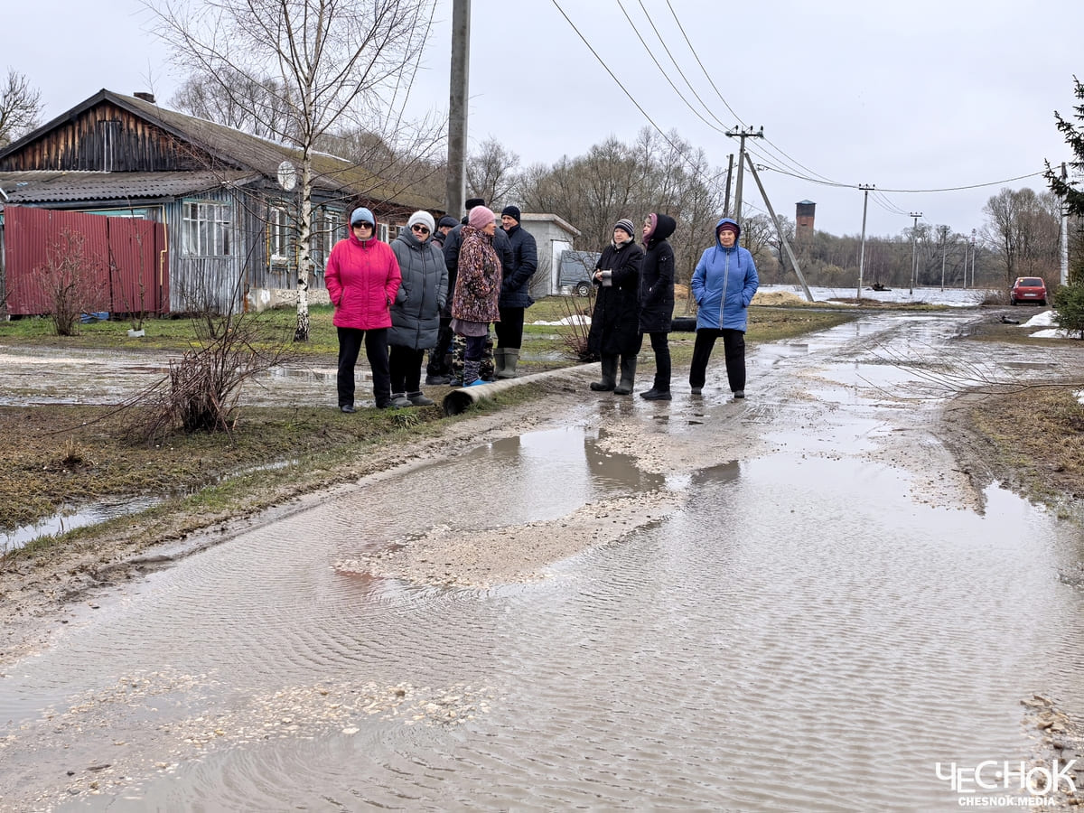 Судогда лужи 11