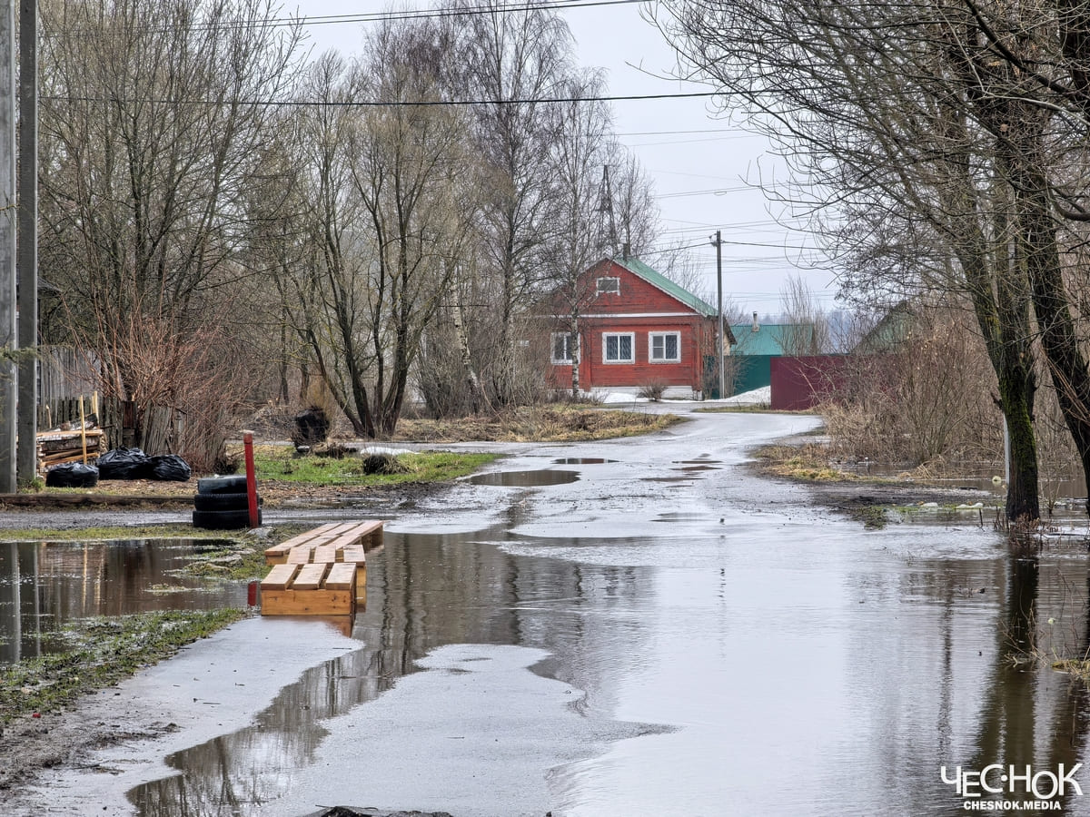 Судогда лужи 3