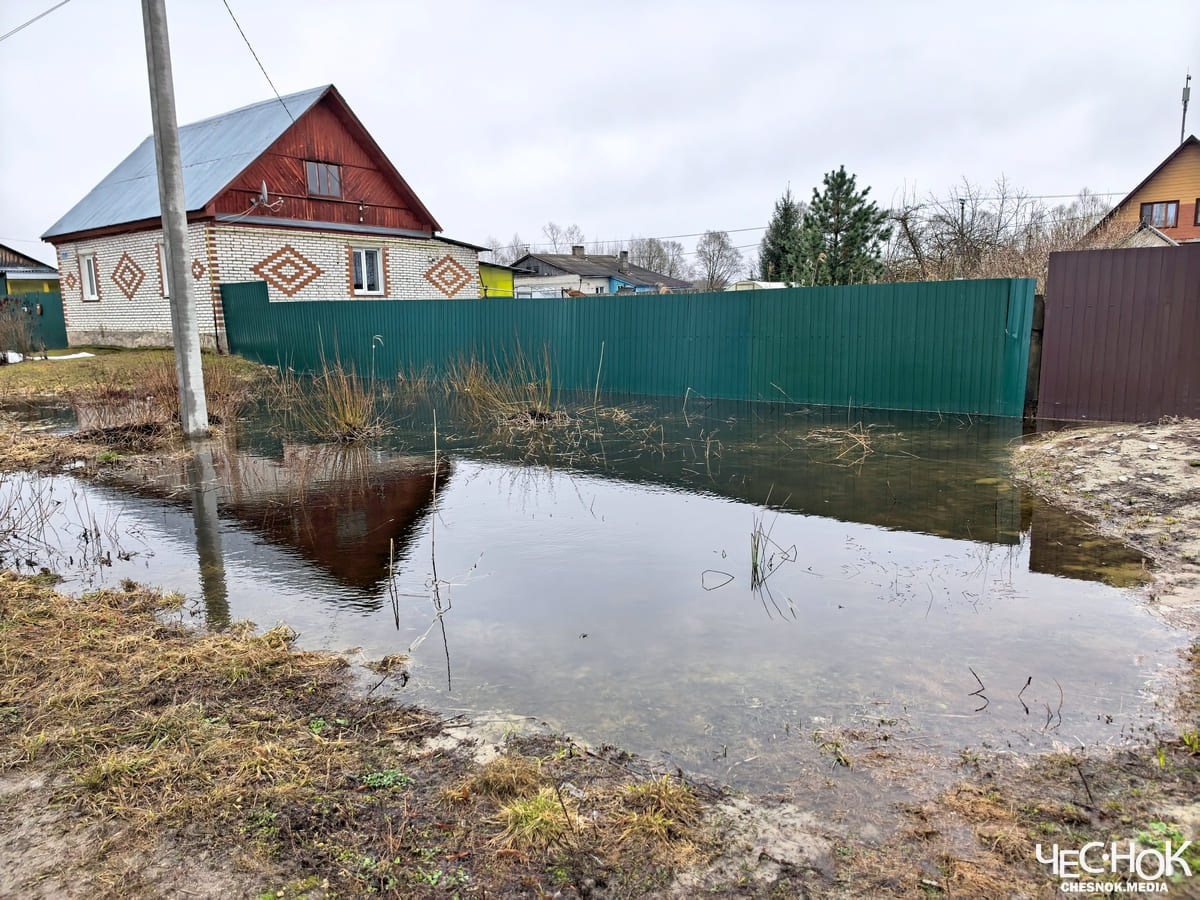 Судогда лужи 3