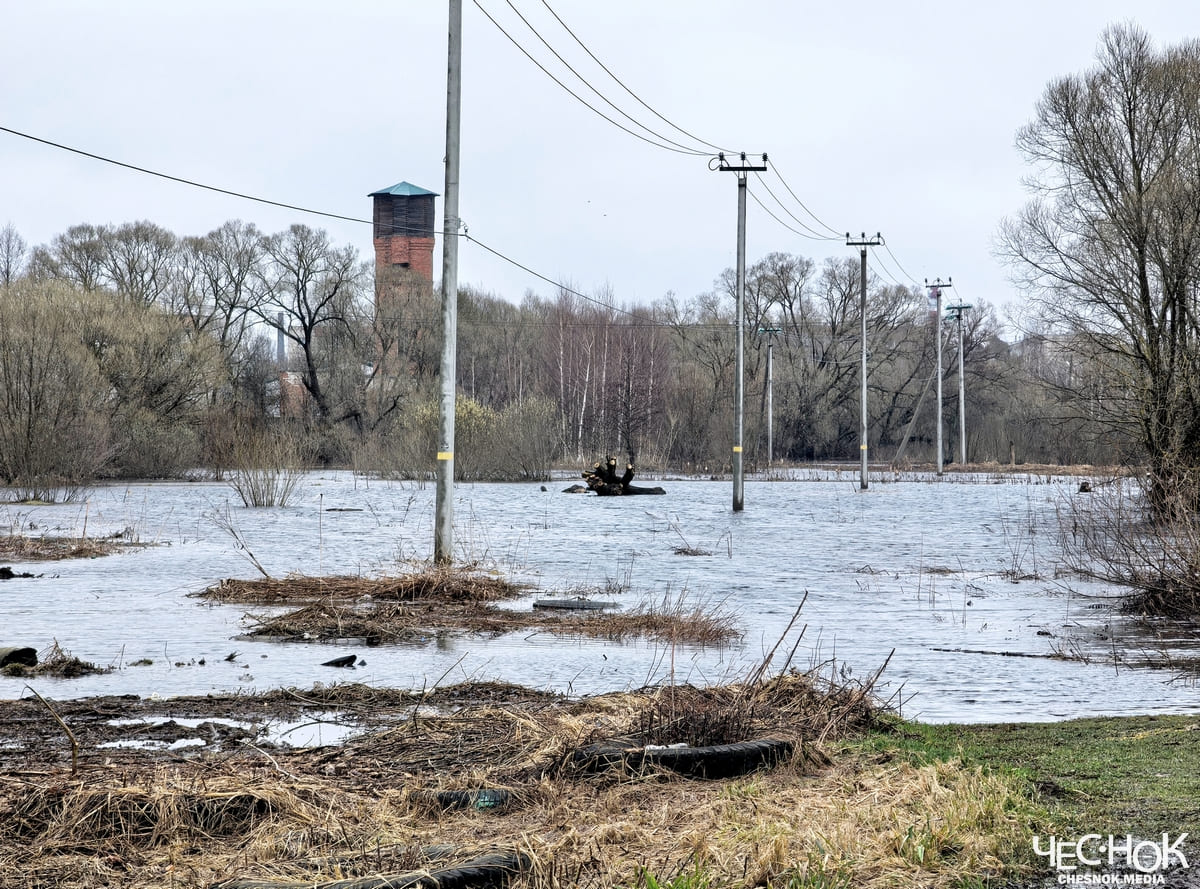 Судогда лужи половодье паводок