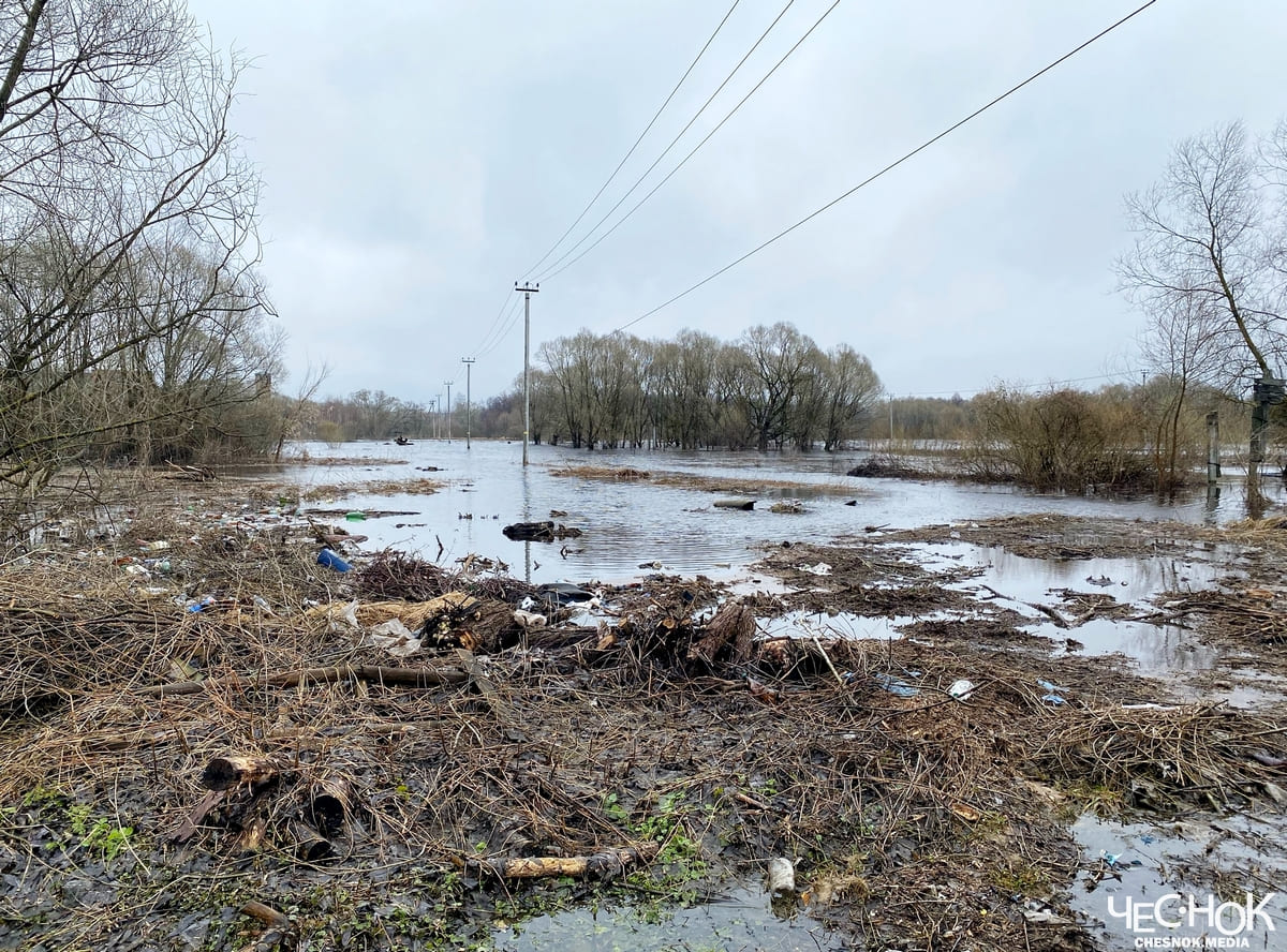 Судогда лужи половодье паводок