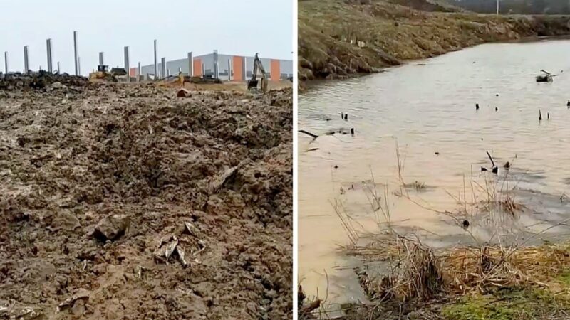 В Суходоле из-за стройки заводов глиной завалило родник и пруд