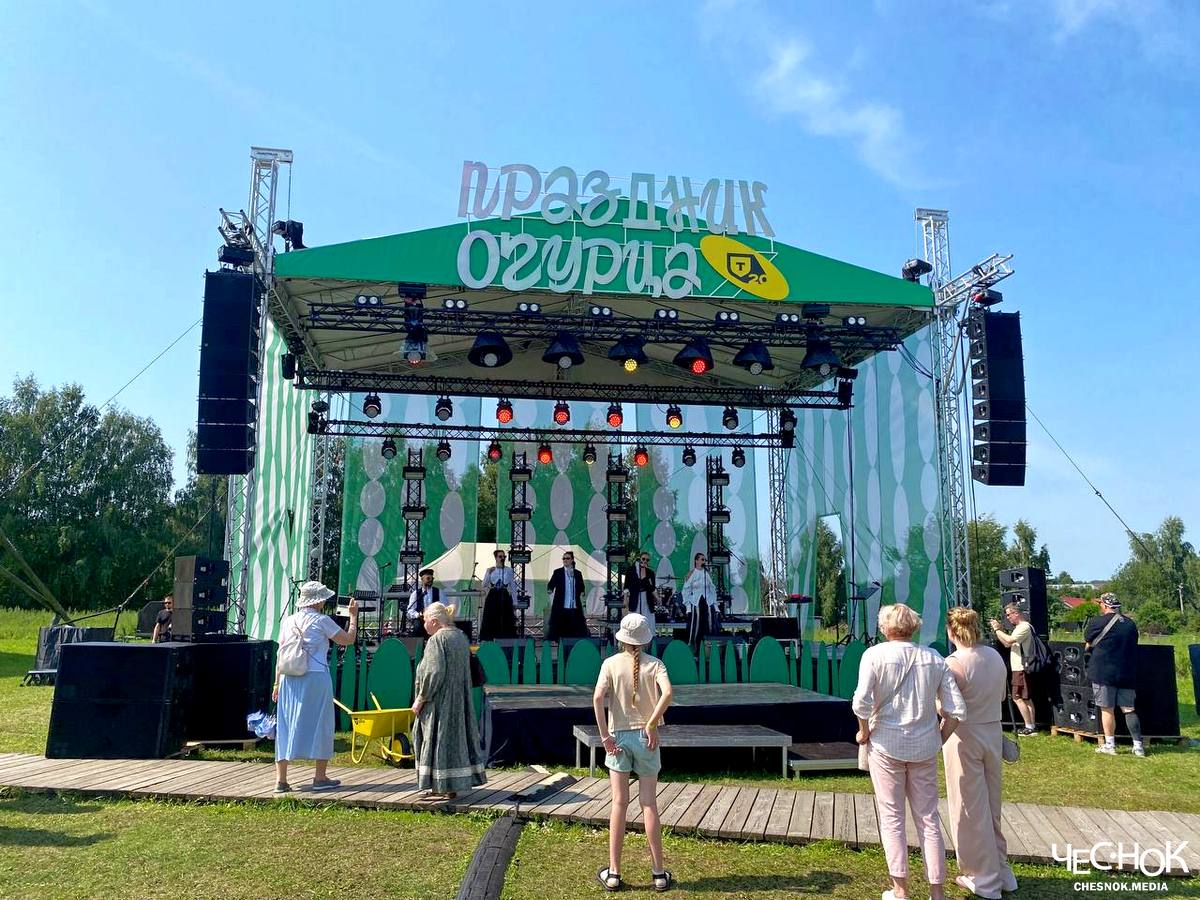 Суздаль день огурца 8