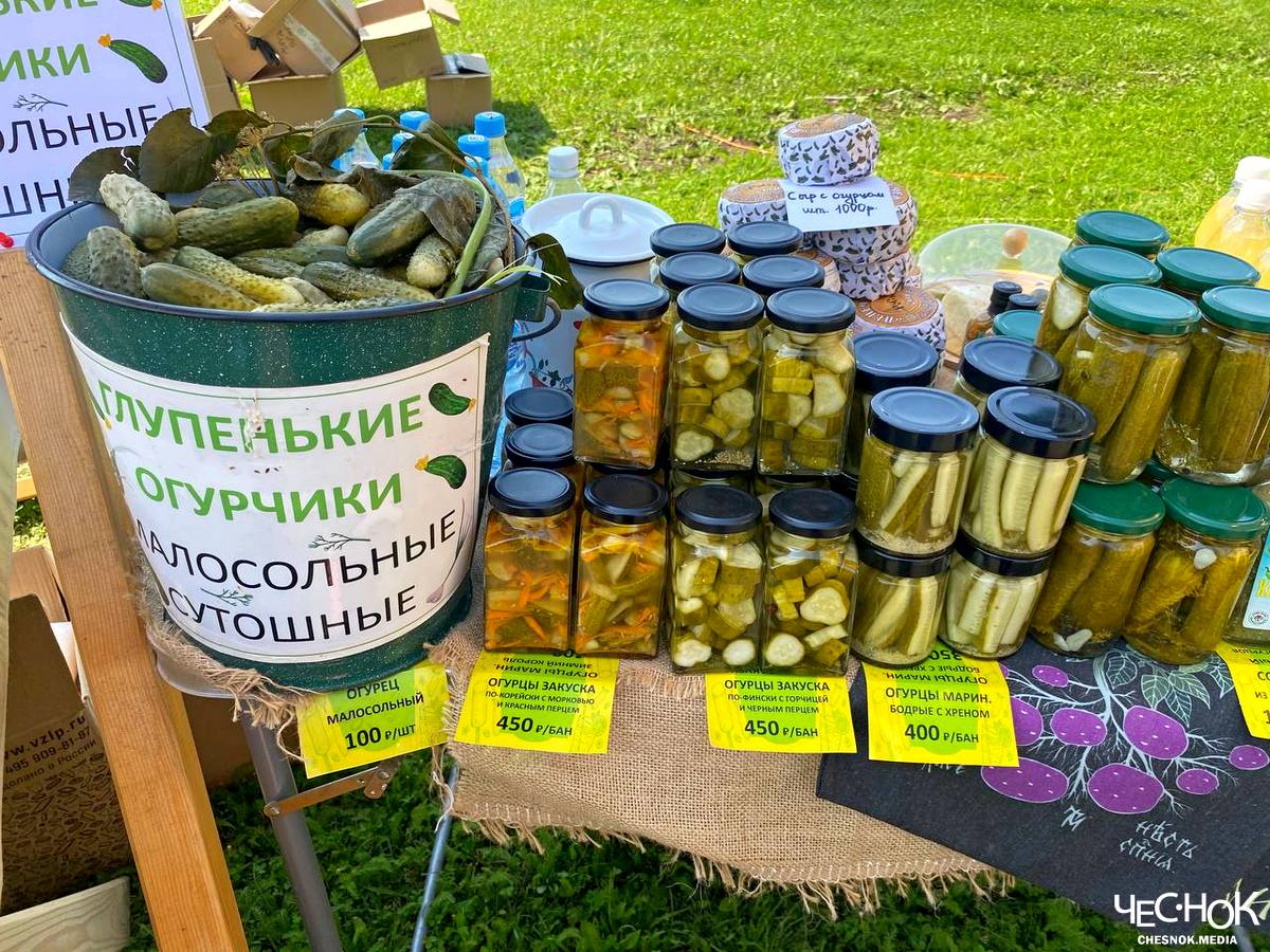 Суздаль день огурца 8
