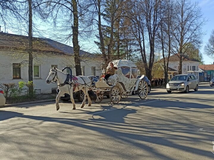 В Суздале могут запретить катание на повозках