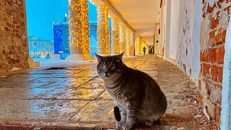 Реставрацию Торговых рядов в Суздале продлили еще на год