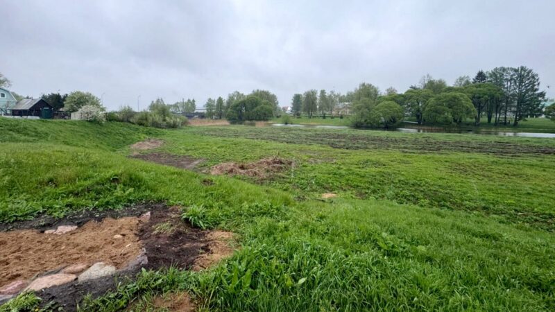 В пригороде Суздаля выявили махинации с землей