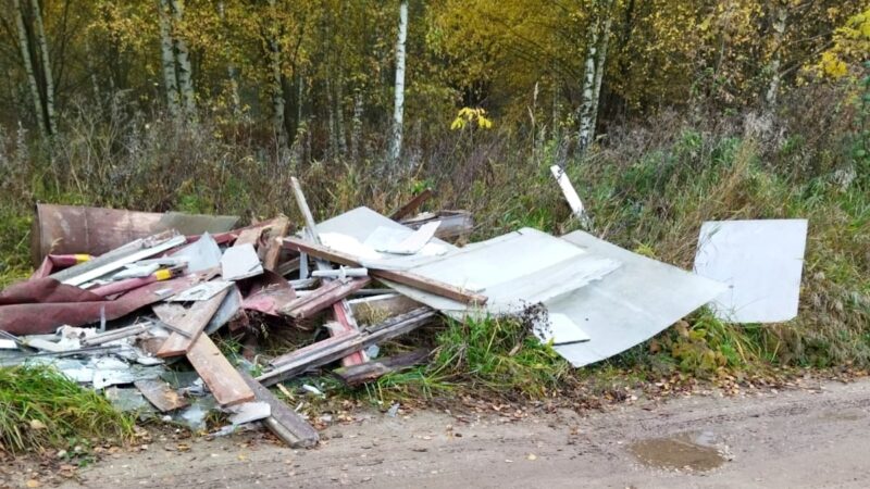 Не город, а свалка. Окраины Владимира заваливают мусором