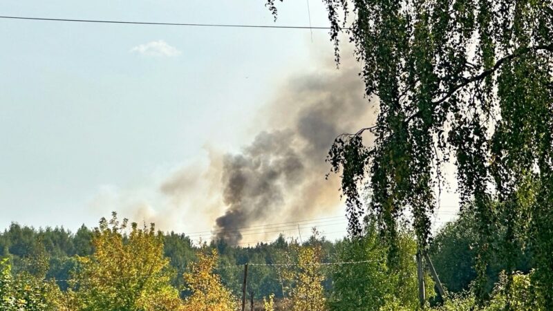 Под Владимиром загорелась новоалександровская свалка