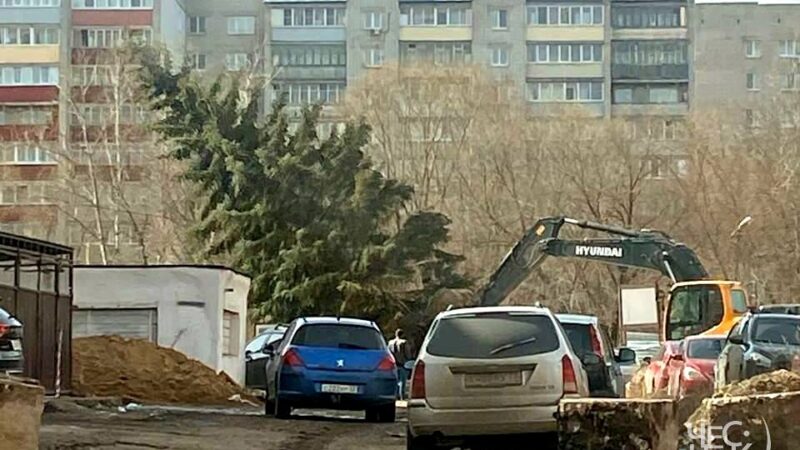 У «Арт-холла» во Владимире снесли ели