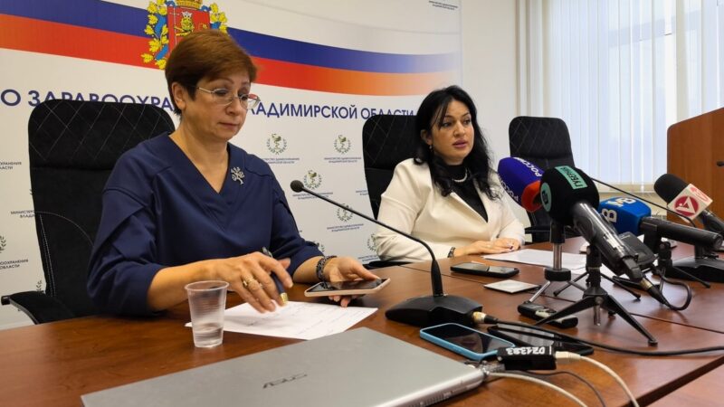 «Обнять и рыдать». Министр Томаева дала оценку владимирской медицине