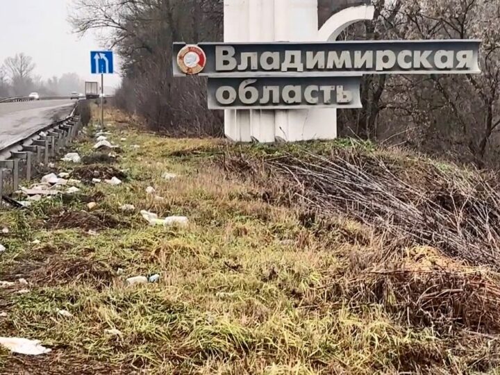 Губернатора Александра Авдеева призвали «уйти красиво»