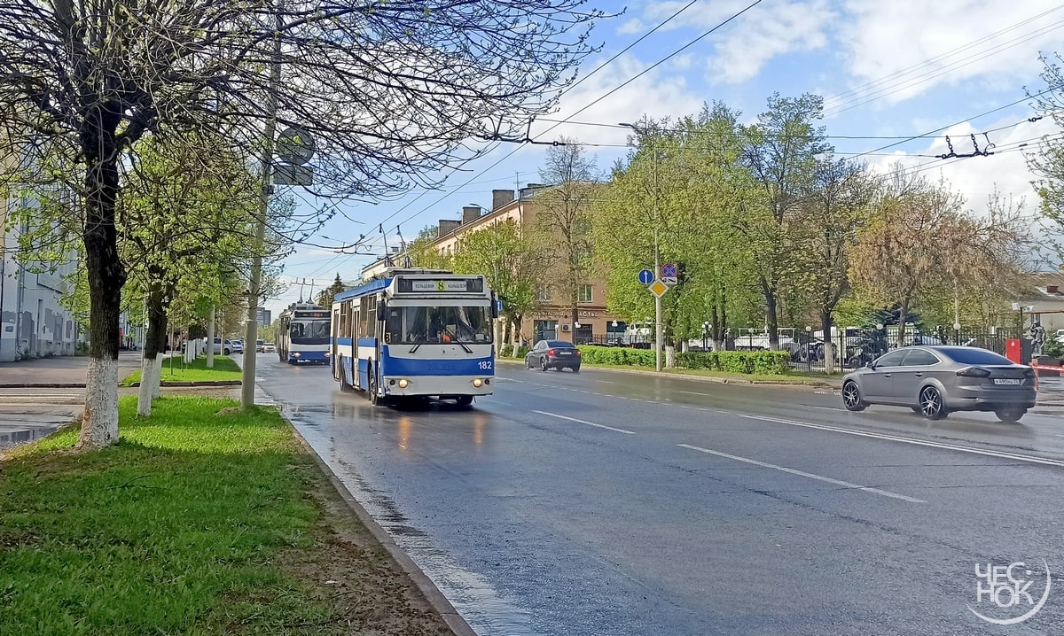 Владимирская область не получит денег на новые троллейбусы
