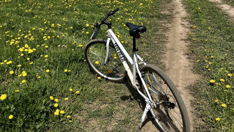 В Суздаль – на велосипеде. В области может появиться новый веломаршрут