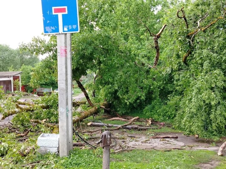Энергетик пойдет под суд за оставшееся без воды и света Карабаново