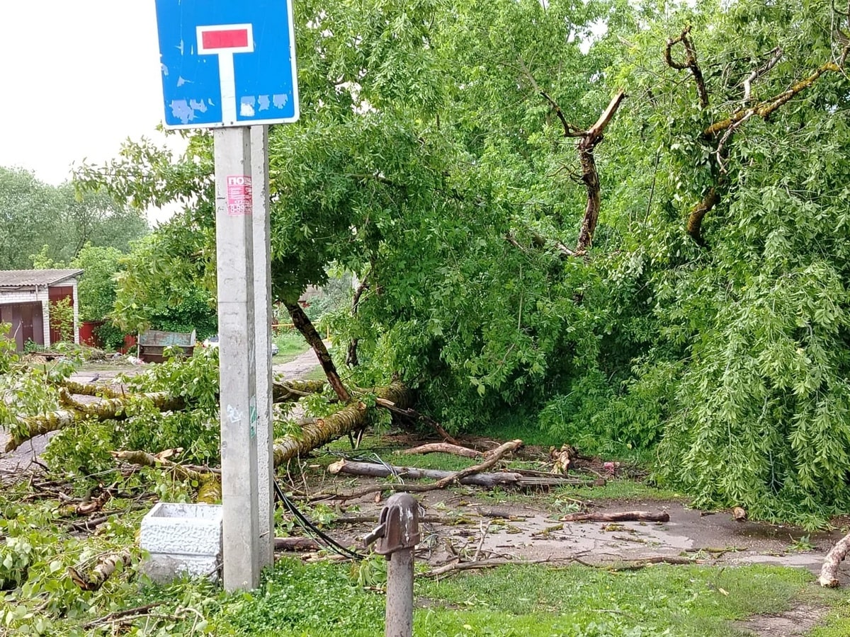 Карабаново после шторма на сутки осталось без света и воды