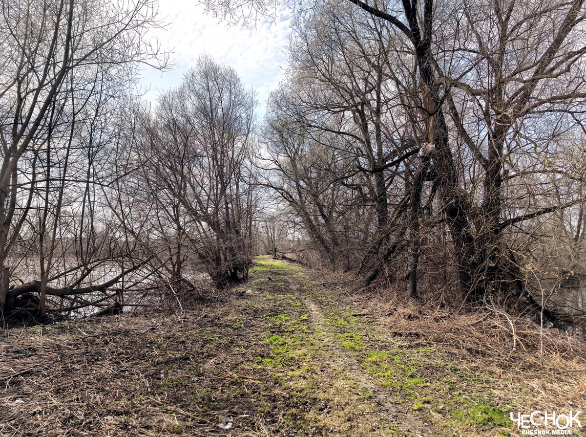 Усадьба черниж пруд 2