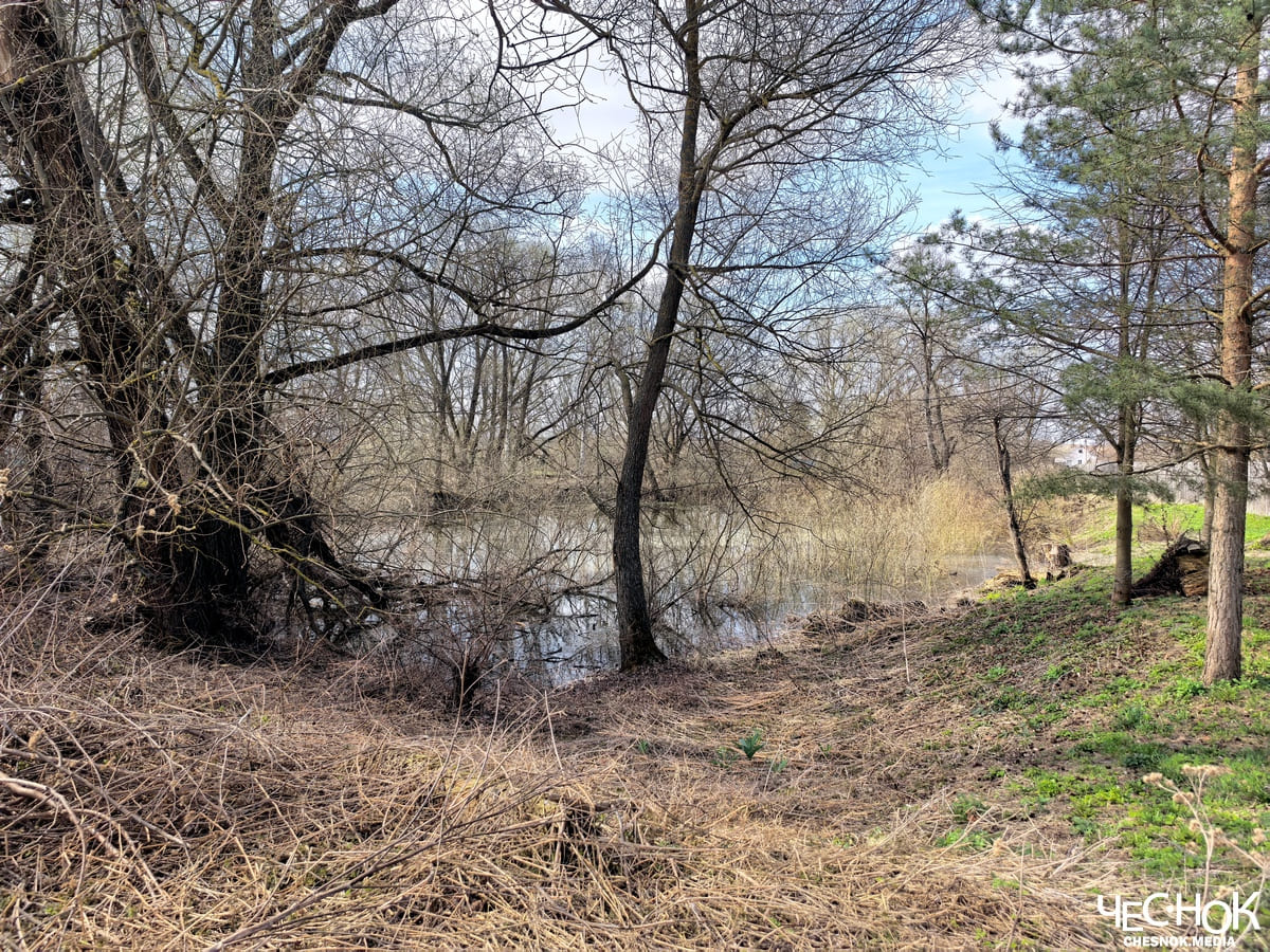 Усадьба черниж пруд 2