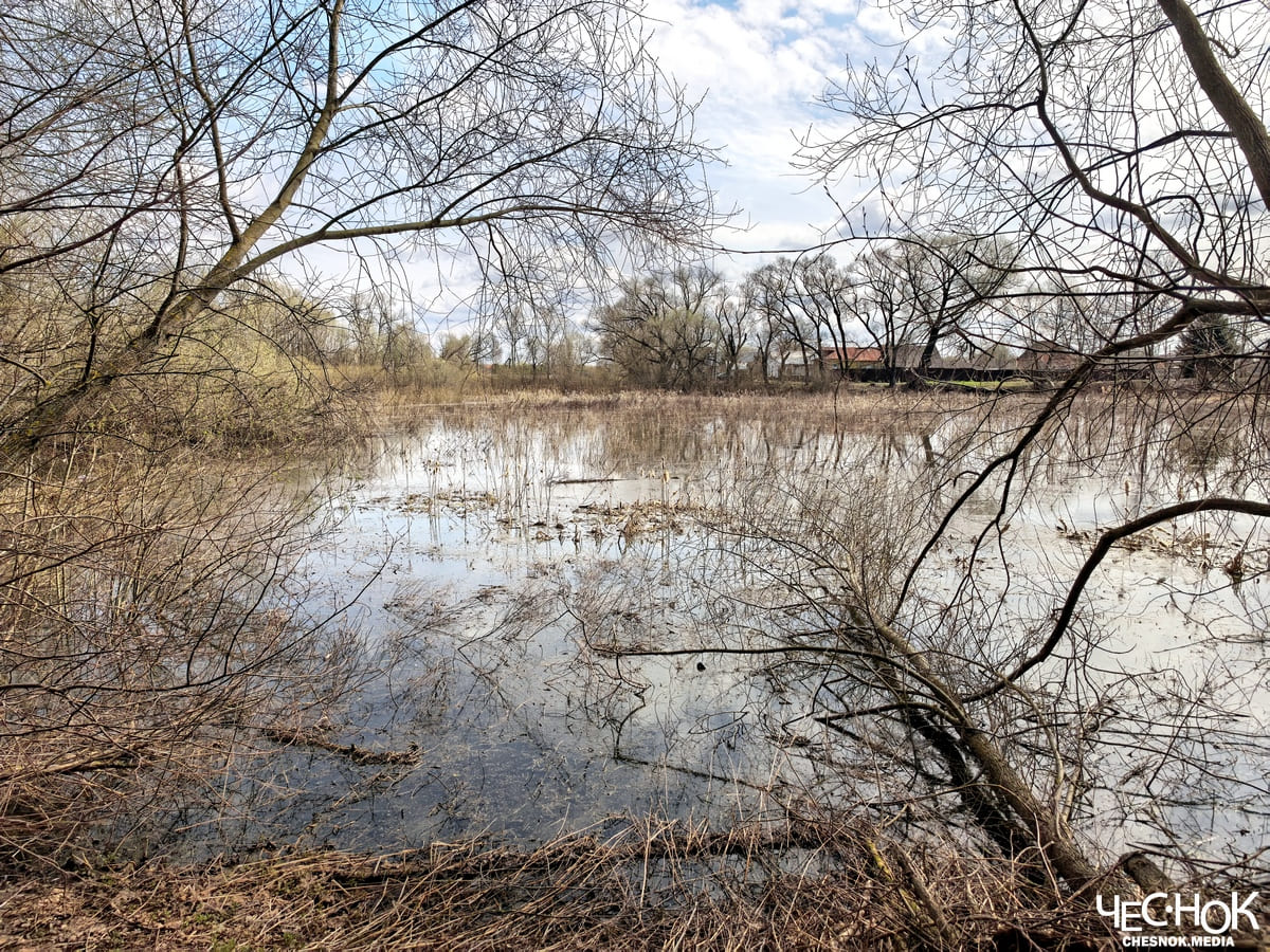 Усадьба черниж пруд 2
