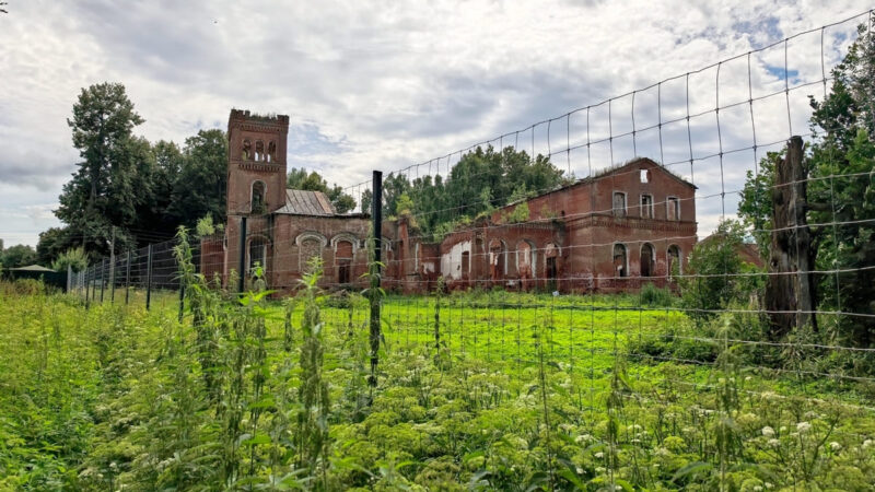 Самое красивое владимирское село пожаловалось Бастрыкину на беспредел «барина»