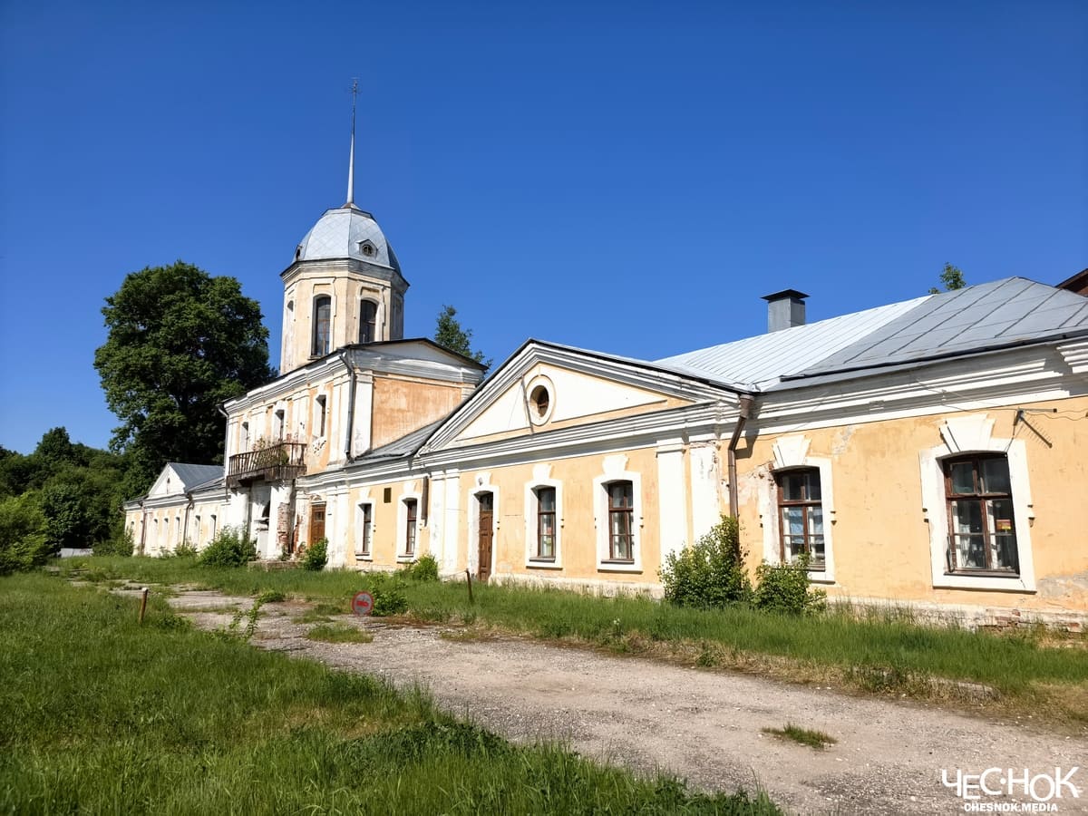Усадьба Воронцовых Андреевское Петушинский 3