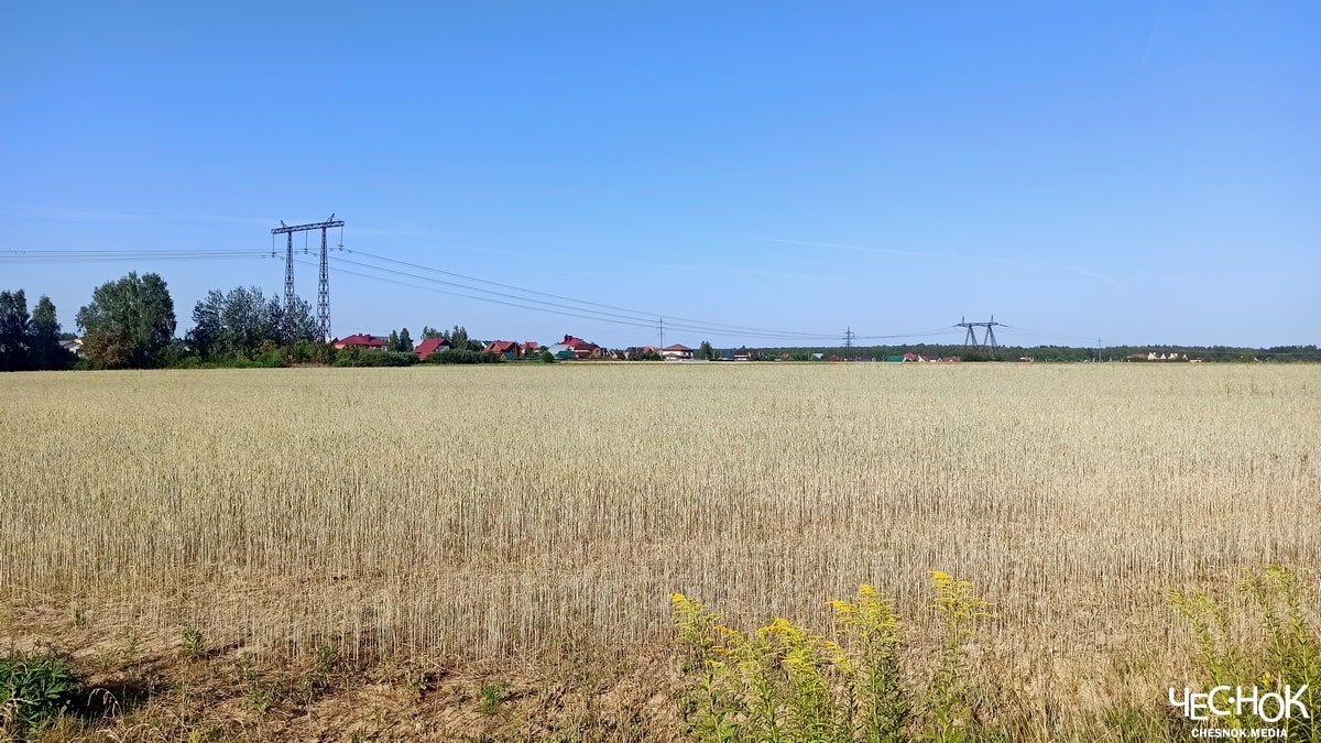 Вяткино поле сельское хозяйство