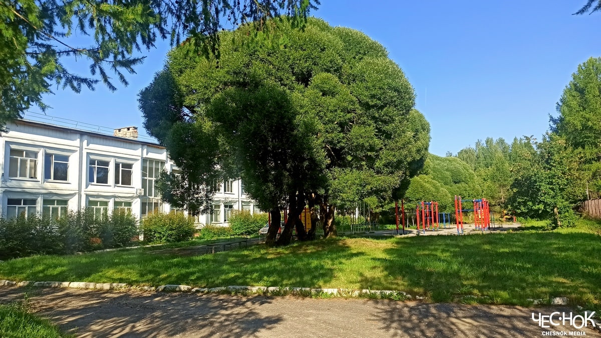 Вяткино школа