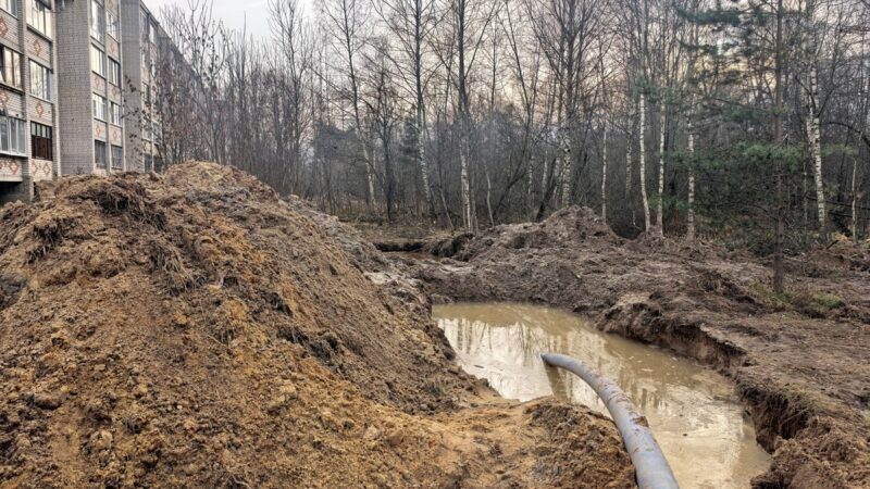 В Вольгинском канализацией затопило дома и пойму реки