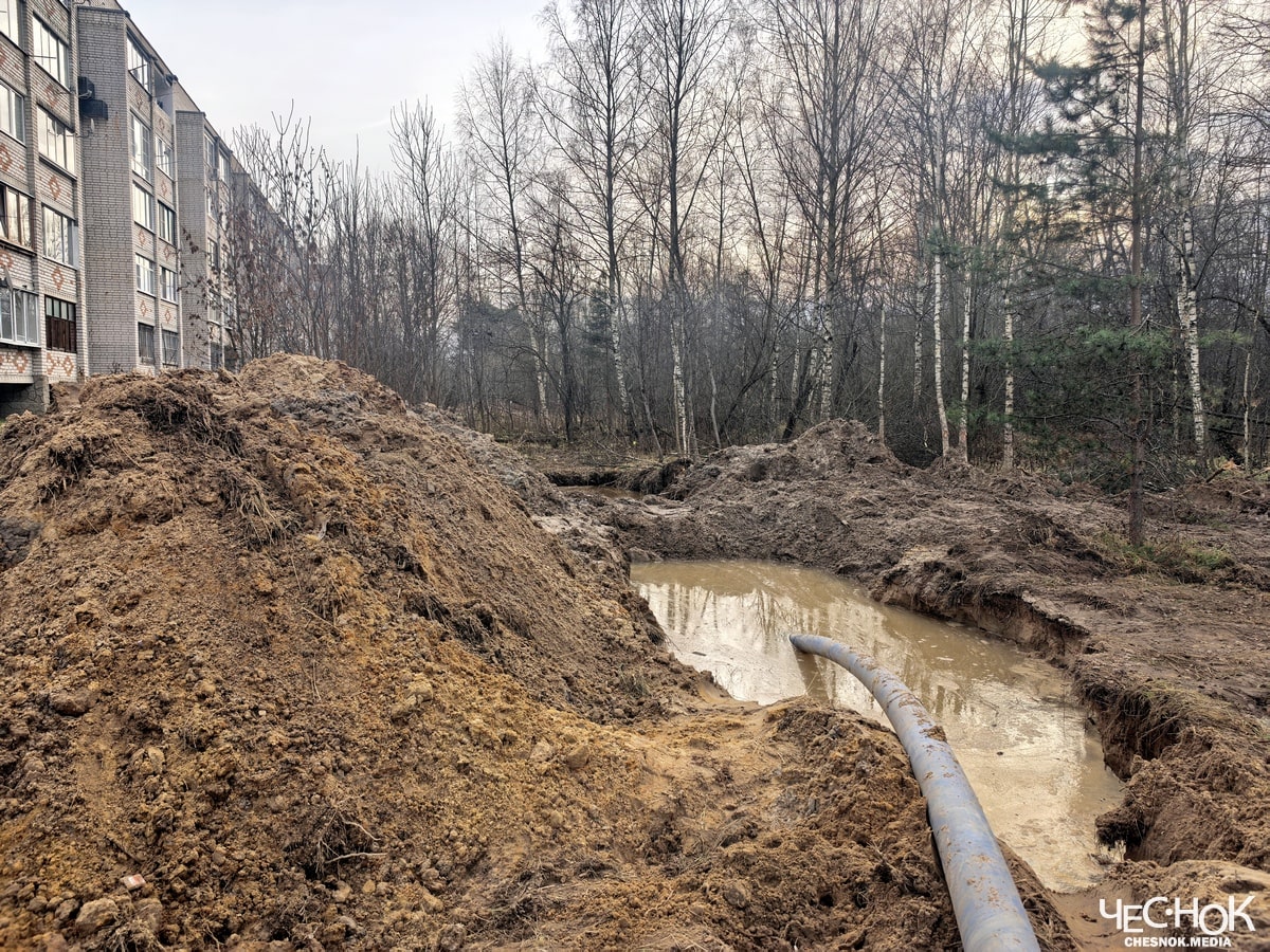 В Вольгинском канализацией затопило дома и пойму реки